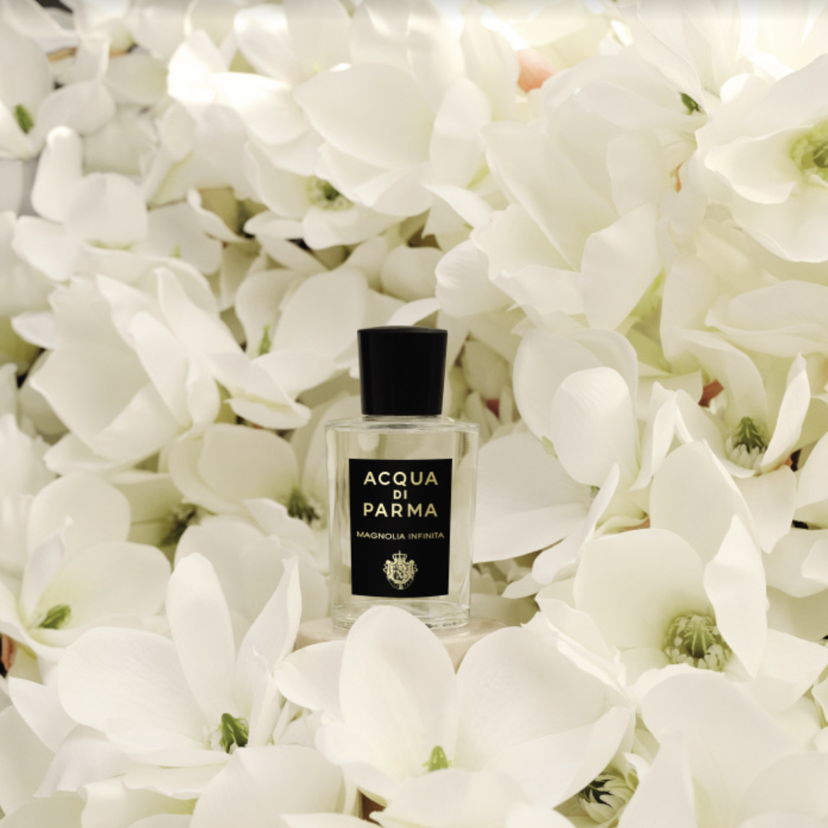 Acqua di Parma推出格調系列的全新香氛「無限木蘭淡香精」。(Acqua di Parma提供)
