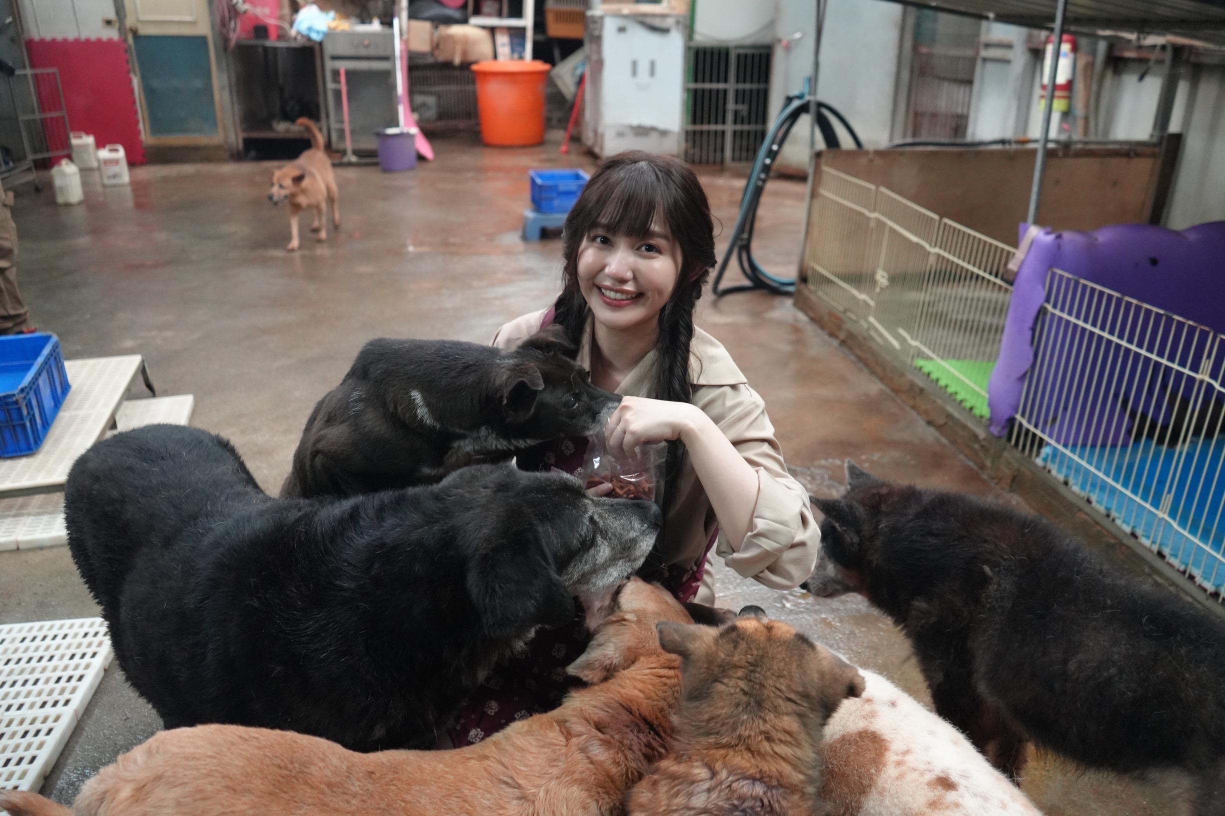 琳誼Ring日前到到流浪動物之家做公益服務。（相映國際提供）