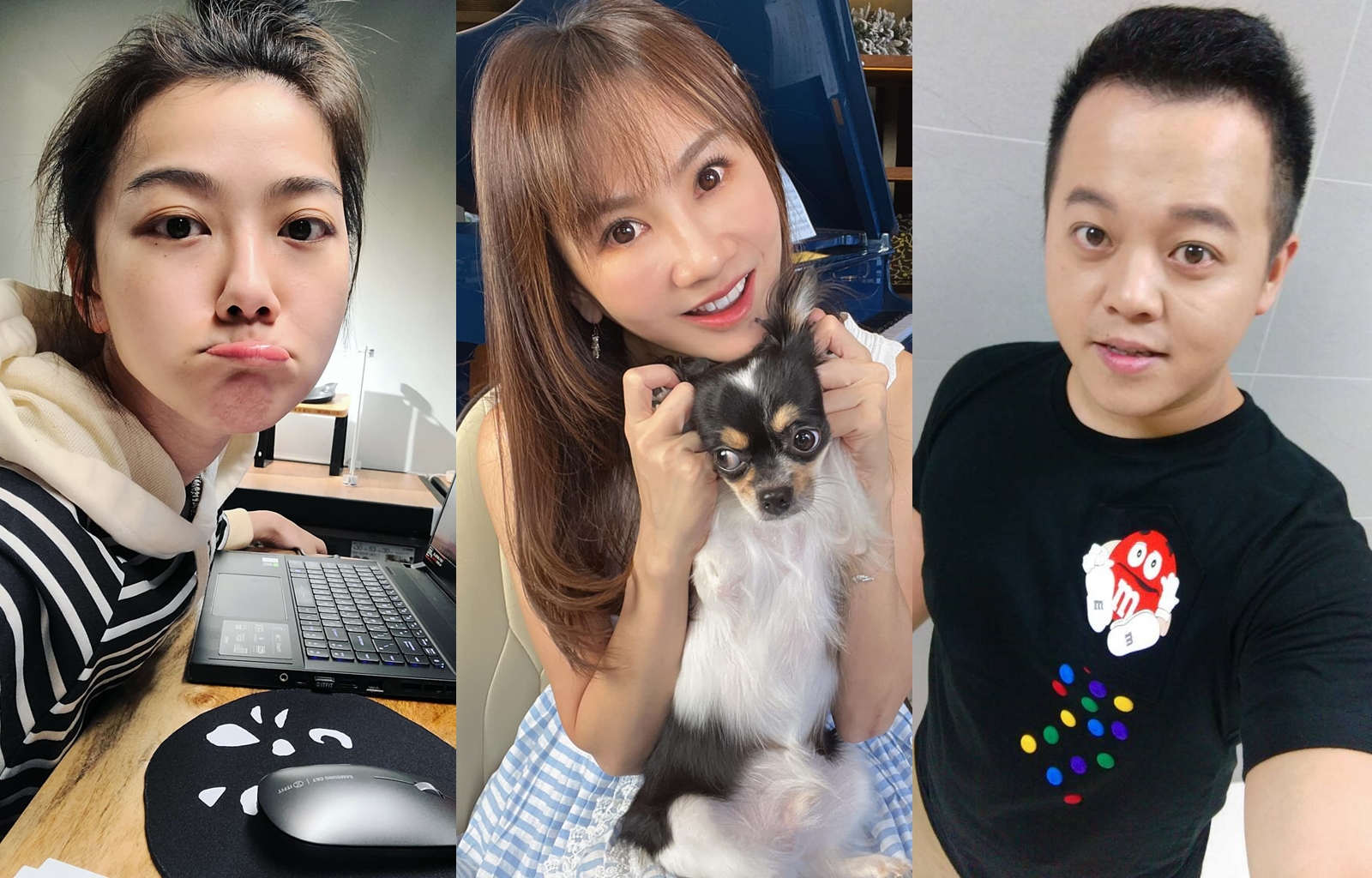 寵物事業夯吸引許多人搶進，但法規嚴格，有些藝人也因此踢到鐵板。（翻攝畫面）