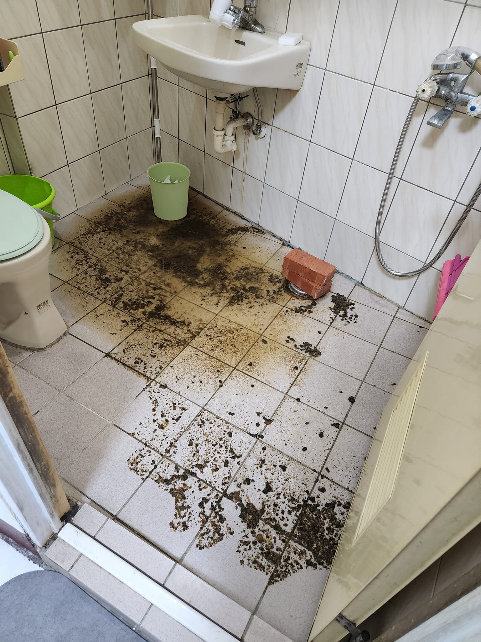 滿地的糞便和污水湧出,讓女網友超崩潰。(翻攝自爆料公社)