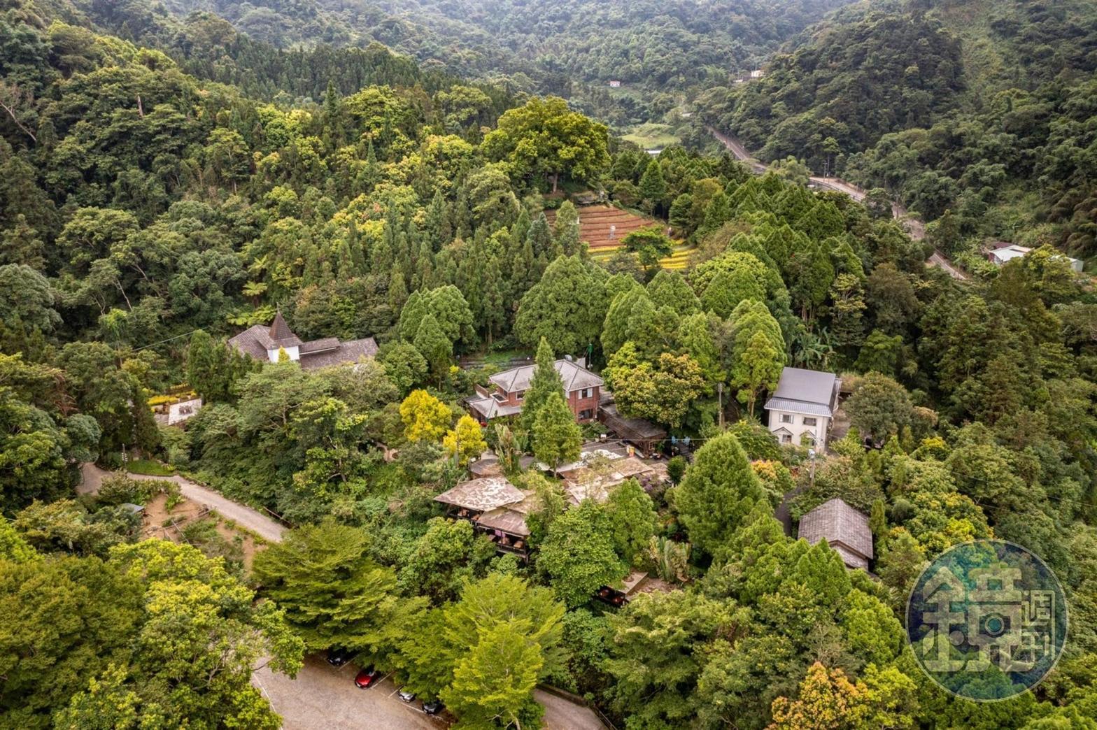 位在台中新社的薰衣草森林，被深淺不同層次綠意包圍其中。