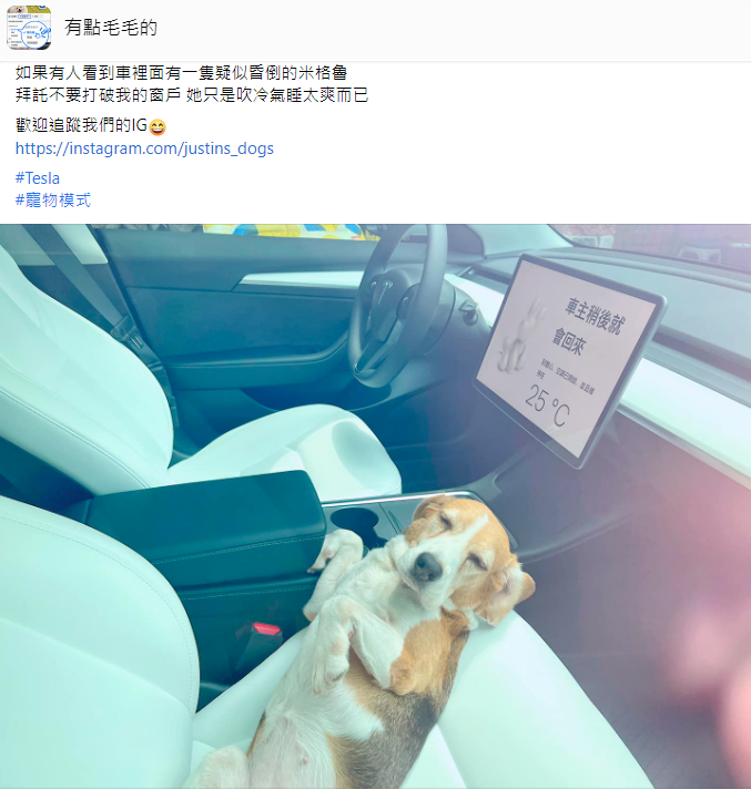 米格魯在車上爽吹冷氣。（翻攝自有點毛毛的臉書）