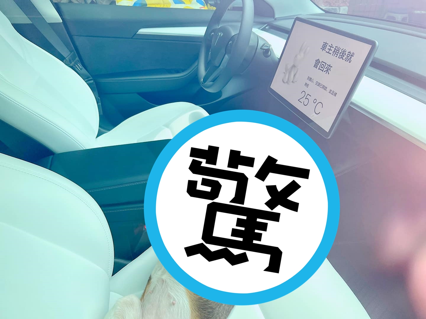 米格魯獨自在車內睡死，車主提醒大家「不要打破我的窗戶」。（翻攝自有點毛毛的臉書）