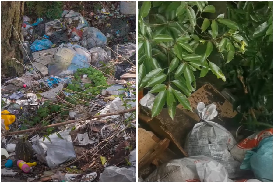 美籍網紅小飛時隔6年後舊地重遊司馬庫斯，發現「垃圾瀑布」依舊隨處可見。（翻攝自Xiaofei小飛 YT頻道）