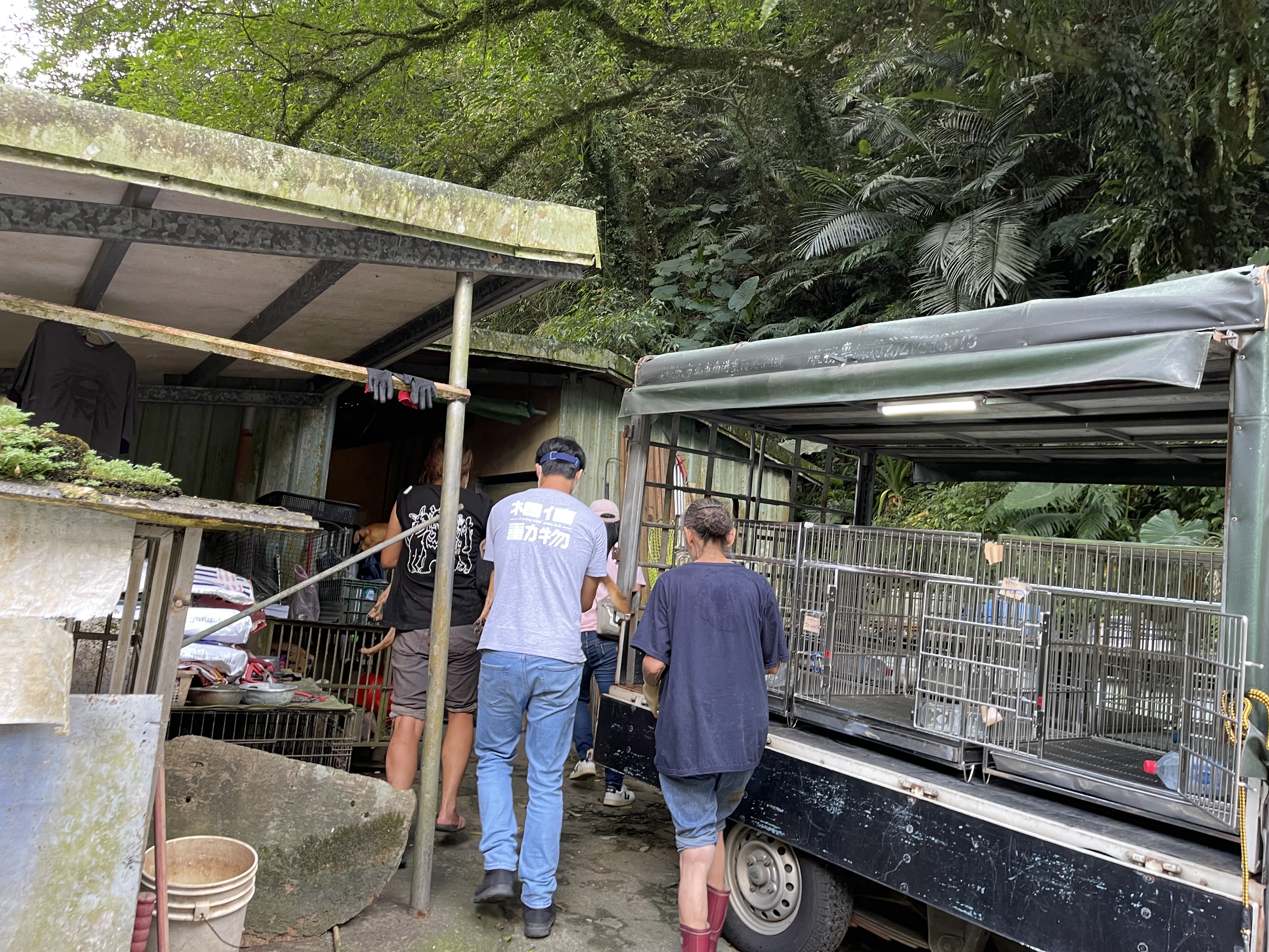 動保處協調台灣懷生相信動物協會協助絕育。（新北動保處提供）