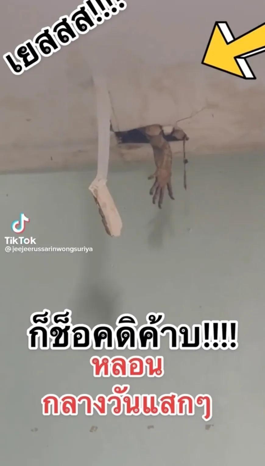天花板突然伸出一隻手。（翻自TikTok）