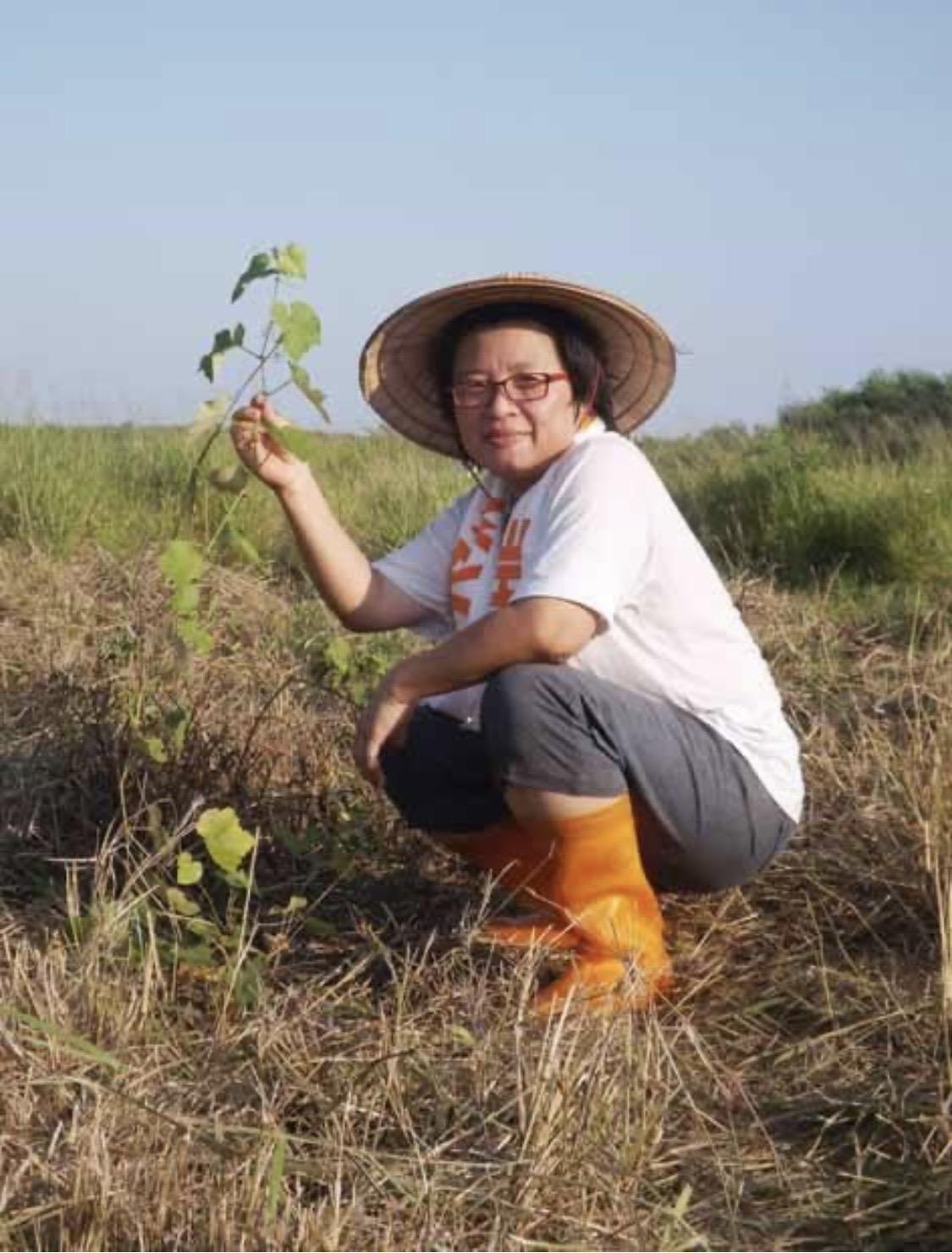媒體人廖璟華用愛種葡萄，更有愛要服務澎湖鄉親。（翻攝廖璟華臉書）