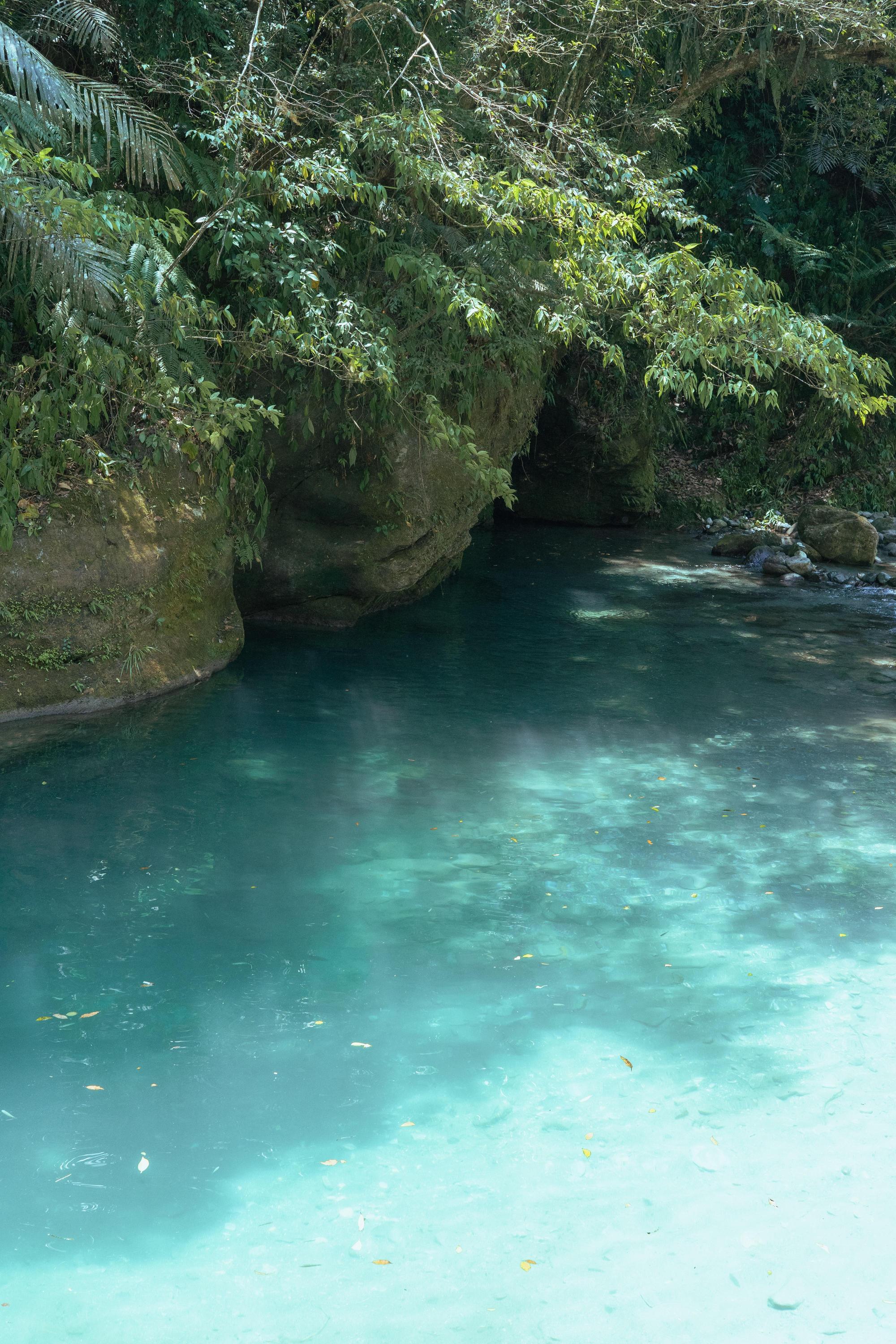 天然地理環境優越，能眺望山脈、溪谷，盡享自然風光。（丘丘‧森旅提供）