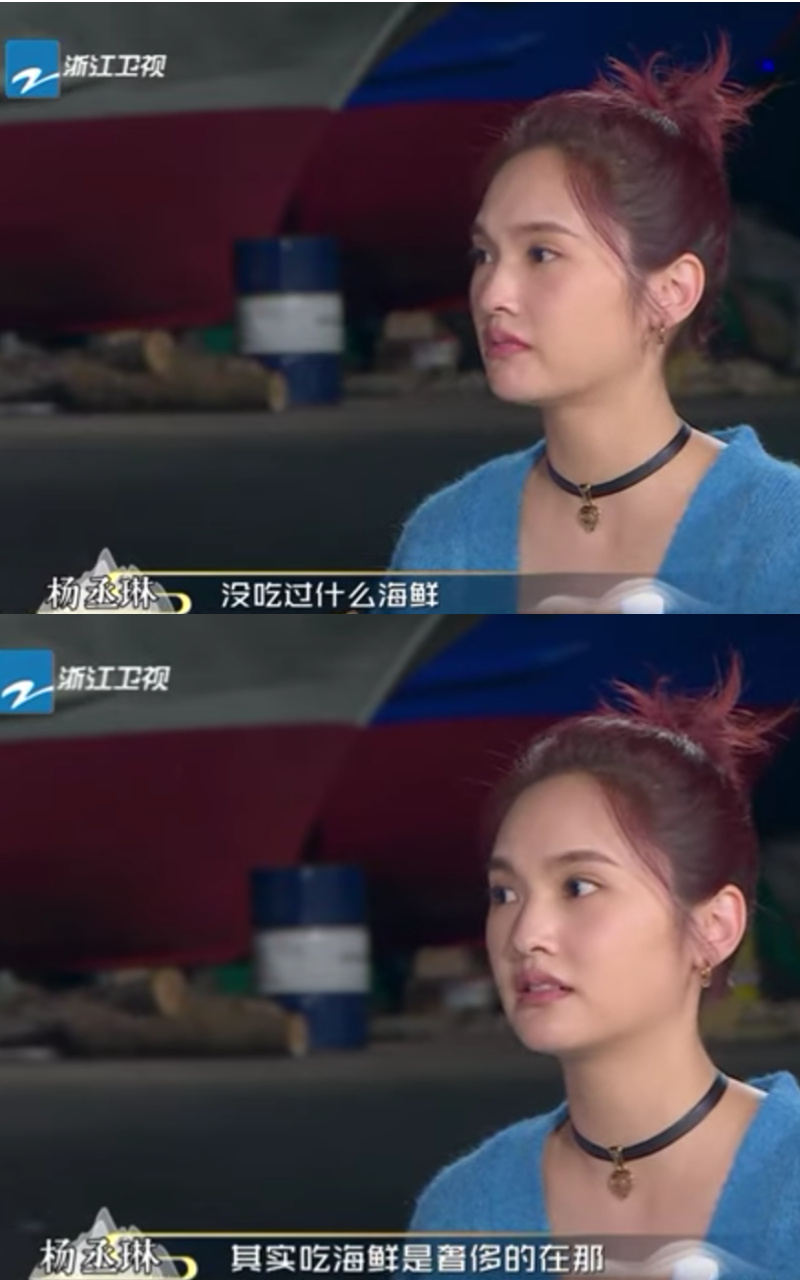 楊丞琳在陸綜藝透露，「（在台灣）沒吃過什麼海鮮。」（翻攝浙江衛視官方頻道）