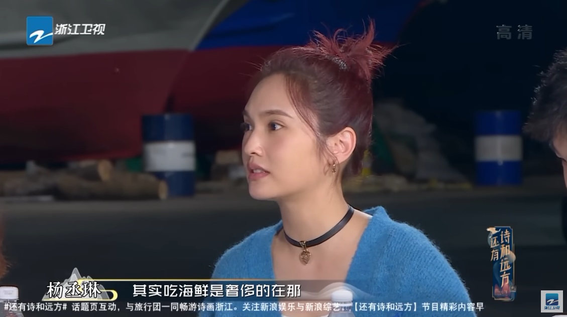 楊丞琳在中國節目說出「吃海鮮是奢侈的」引起網路熱議。（翻攝YT中國浙江衛視官方頻道）