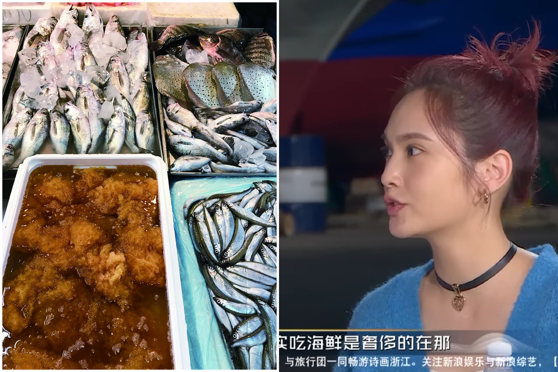 台灣吃海鮮奢侈嗎？時價數據會說話，真的比中國貴。（翻自漁業署臉書+YouTube畫面）