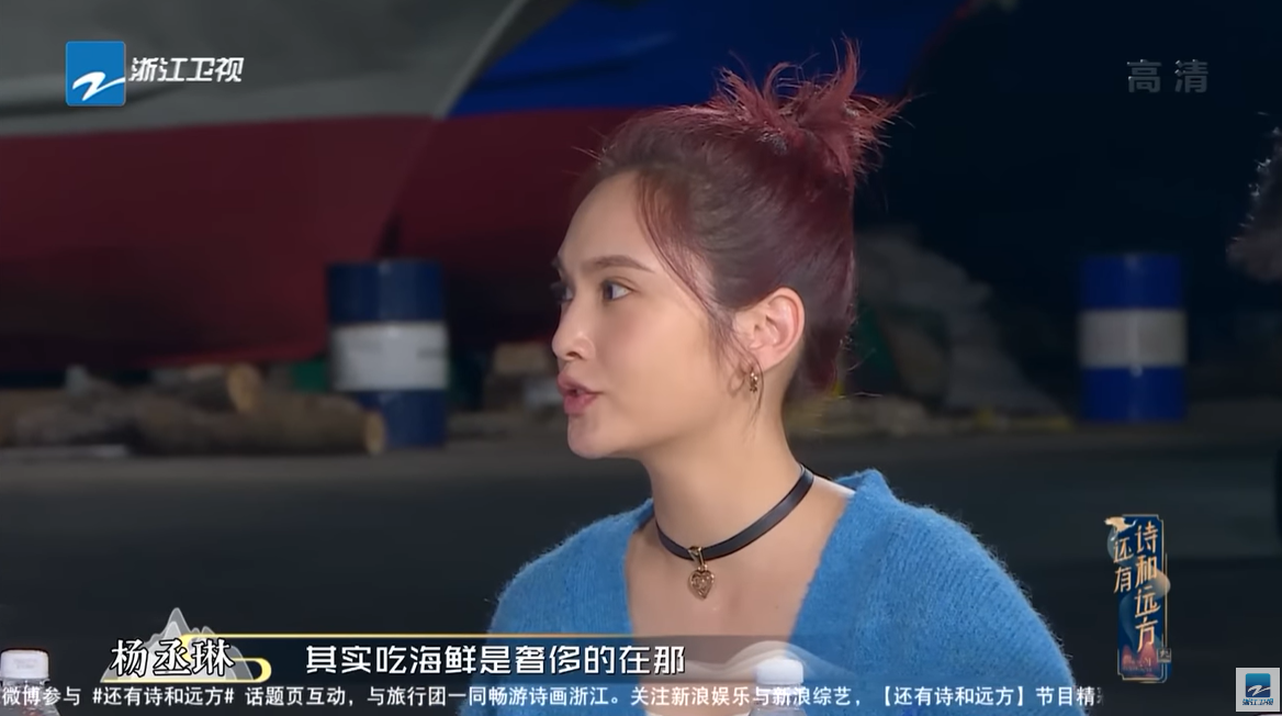 楊丞琳的「海鮮奢侈論」，引發台灣網友熱議。（翻自YouTube畫面）