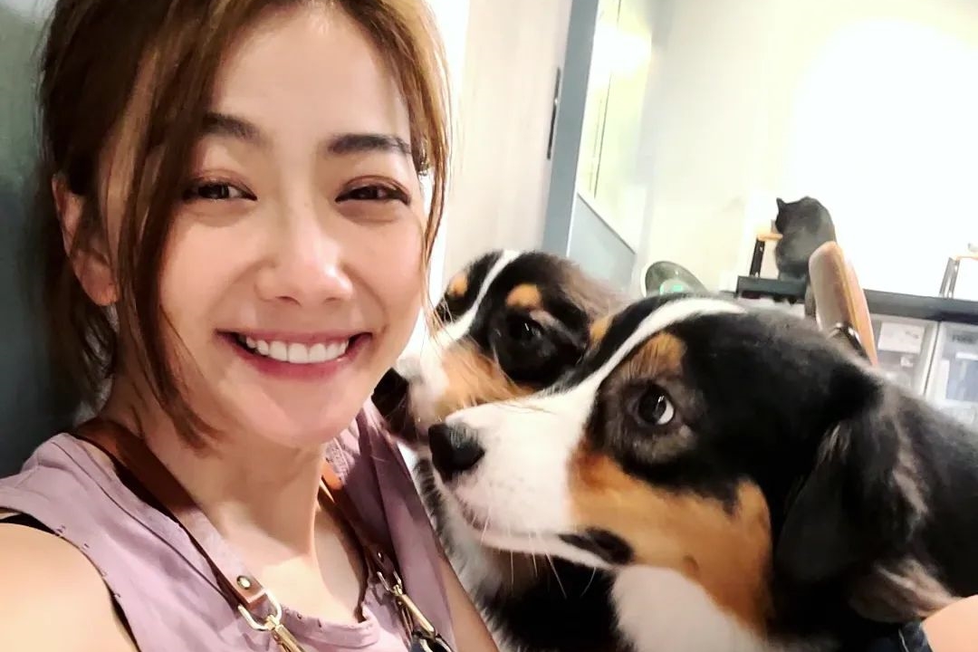 向來很關注流浪動物的邵庭在臉書發文，揭露台灣動保圈水很深。（翻攝自邵庭臉書）