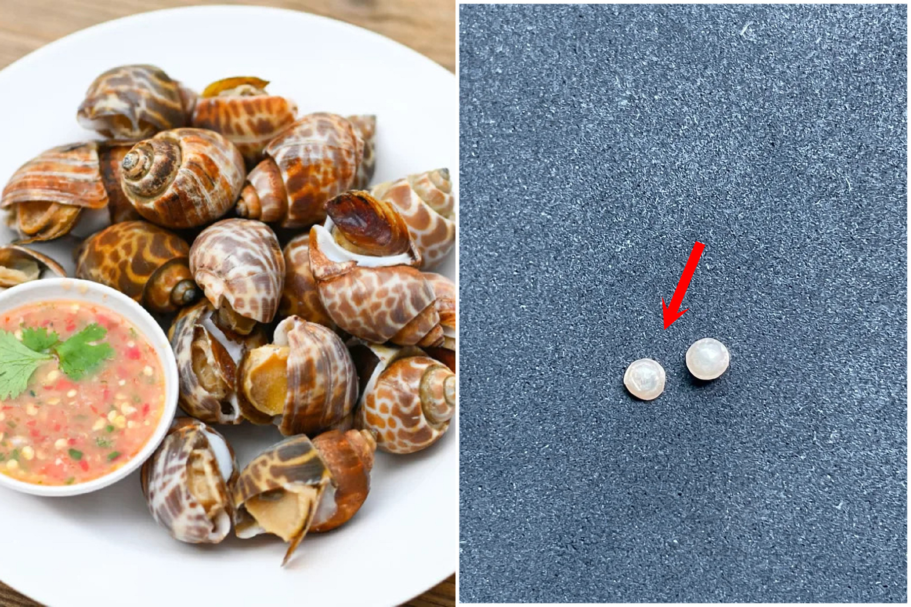 太奢侈了！屁孩吃最後一顆海鮮鳳螺，竟吃到百萬元「稀世龍珠」。（翻自《Sanook》）