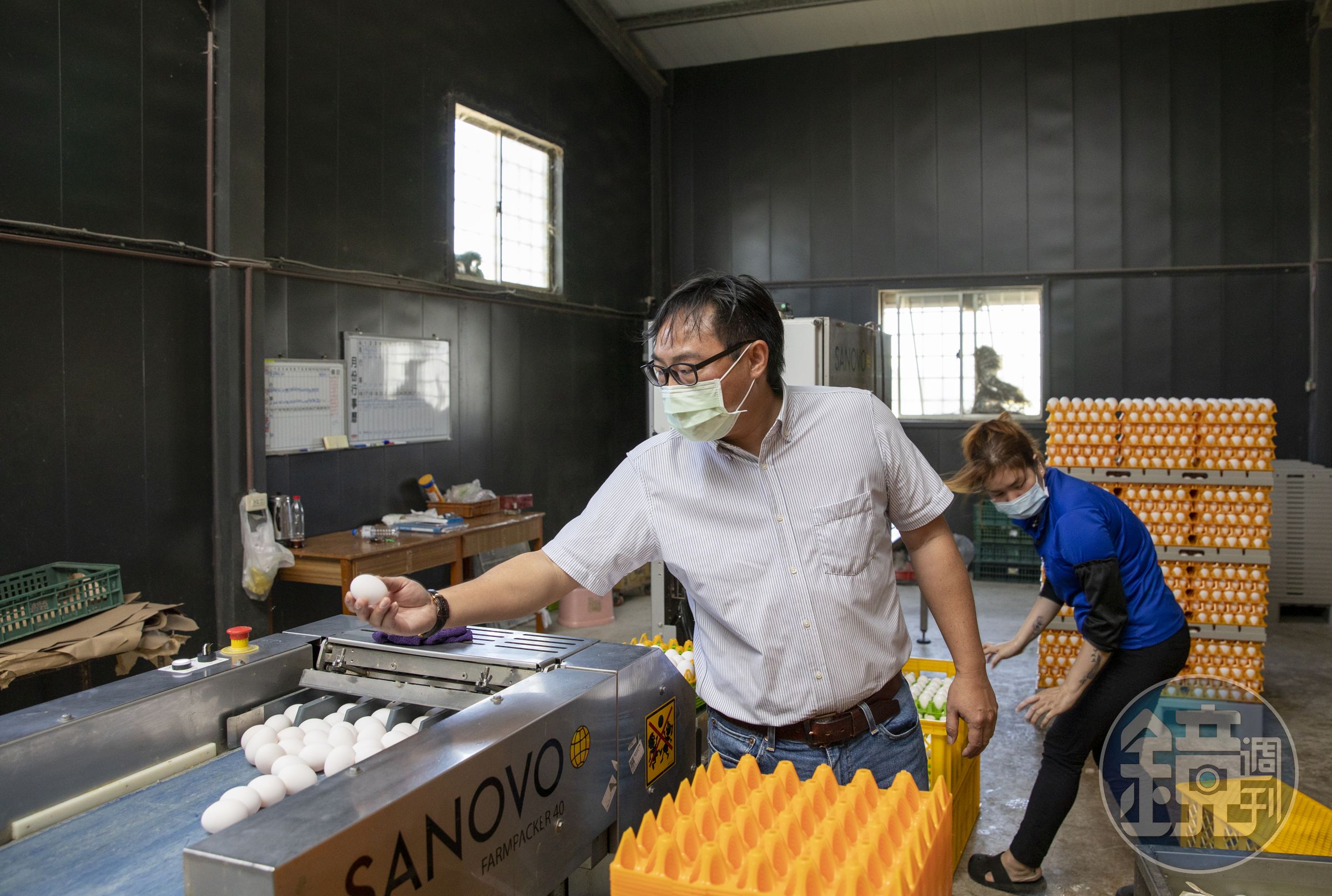 蛋怎麼挑最新鮮？陳昭延傳授幾招撇步幫消費者挑蛋。