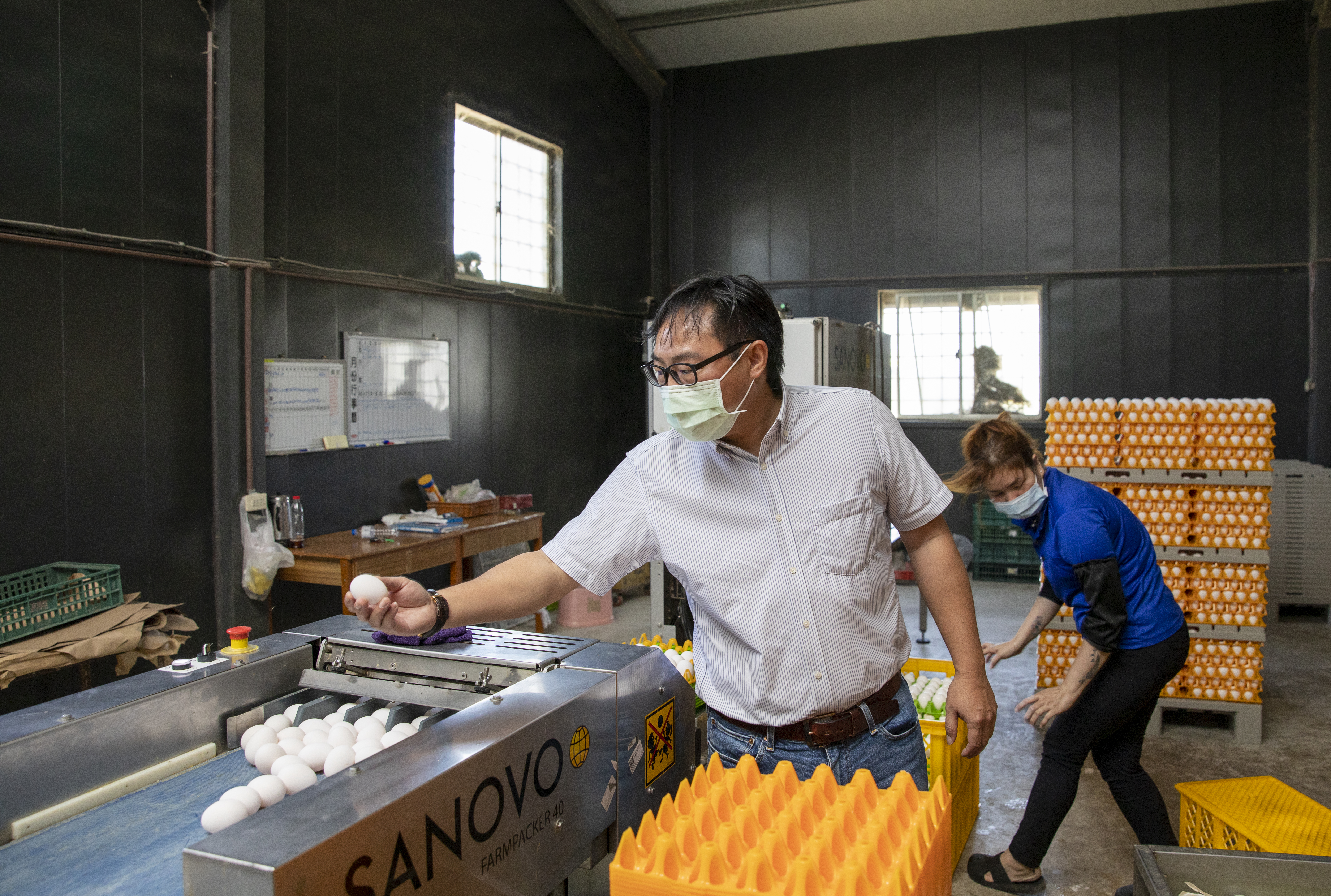 蛋怎麼挑最新鮮？陳昭延傳授幾招撇步幫消費者挑蛋。