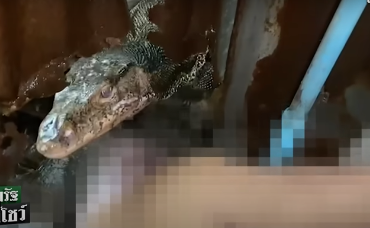 巨型蜥蜴察覺警方到場,被媒體拍照從水溝竄逃。(翻攝YouTube頻道Thairath Online)。