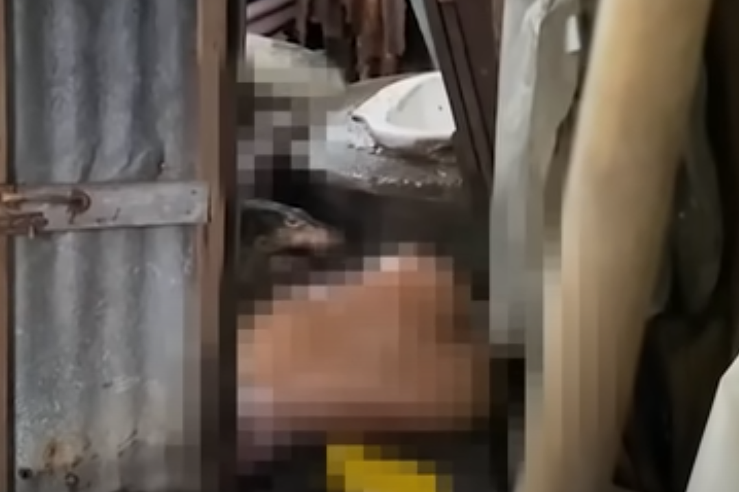 警方到場可見死者倒臥在浴室馬桶邊,目睹遺體遭澤巨蜥啃食。(翻攝YouTube頻道Thairath Online)。