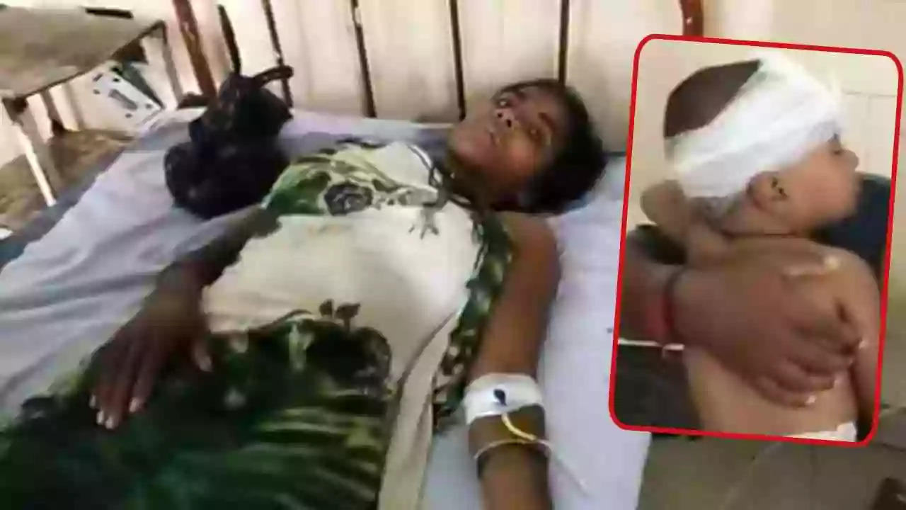 媽媽赤手空拳決鬥老虎！孩子被當獵物叼走，她浴血死戰成功擊退。（翻自bhaskar.com）