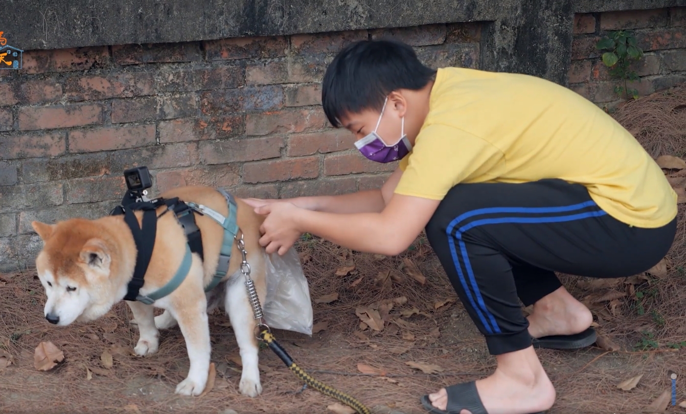 小學生子翔（右）在「渴望被愛與自由的寵物夢」系列，如願到飼養寵物的家庭生活，卻也感受到其中的辛苦。（公視提供）