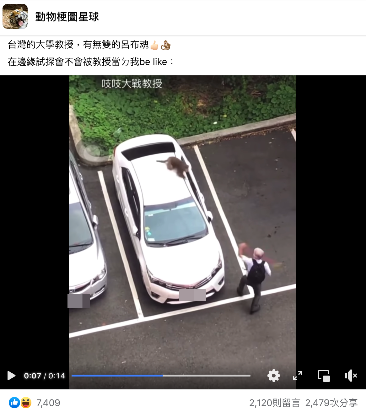 中山大學教授遇到台灣獼猴開啟戰鬥模式。(翻攝自動物梗圖星球臉書)