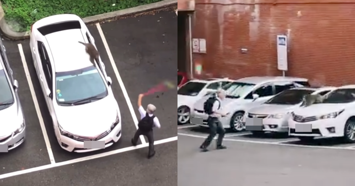 中山大學一名教授拿掃把對付台灣獼猴，被戲稱有「呂布魂」。（翻攝自動物梗圖星球臉書）