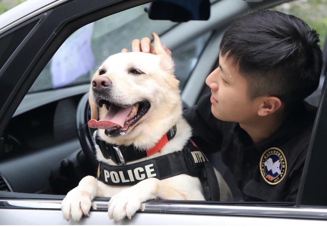 警犬多多服役滿7年，今年中秋節9月9日狗狗節正式退休了！（翻攝自IG）