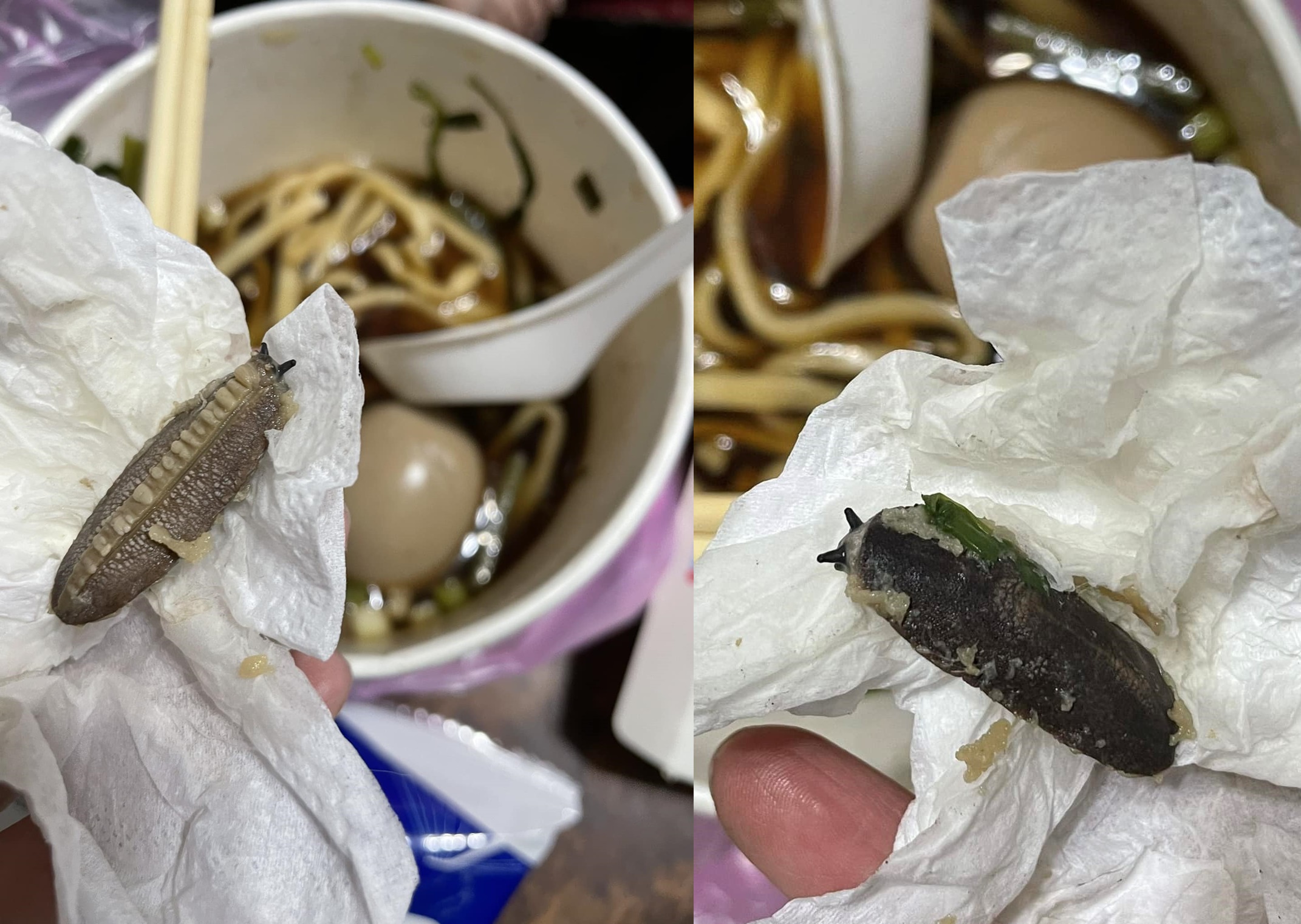 這條被煮熟的蛞蝓，許多網友表示，不仔細看會誤以為是香菇切片。（翻攝自爆料公社）