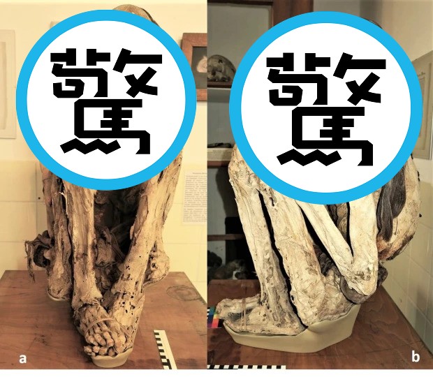 慎入！千年木乃伊死得好慘，科學家用3D科技揭「謎之陰」。（翻自英國《太陽報》）