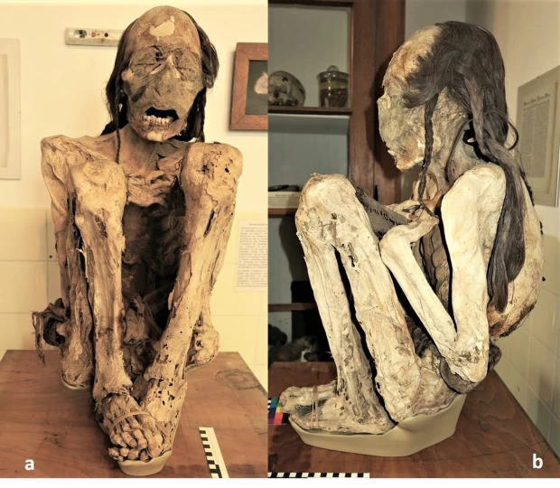 科學家用3D掃描技術解析木乃伊。(翻自英國《太陽報》)