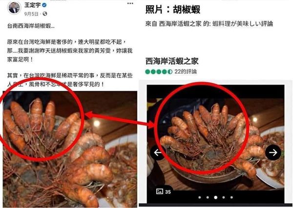 王定宇5日一篇酸楊丞琳的文，被質疑盜圖。（翻攝「喬喬塔Green大可不必 - 張喬瑜護理師2」臉書）