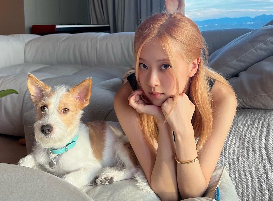 ROSÉ（朴彩英）與愛犬Hank一起戴上Tiffany & Co.，人犬都是超級品牌代言。（翻攝自ROSÉ IG）