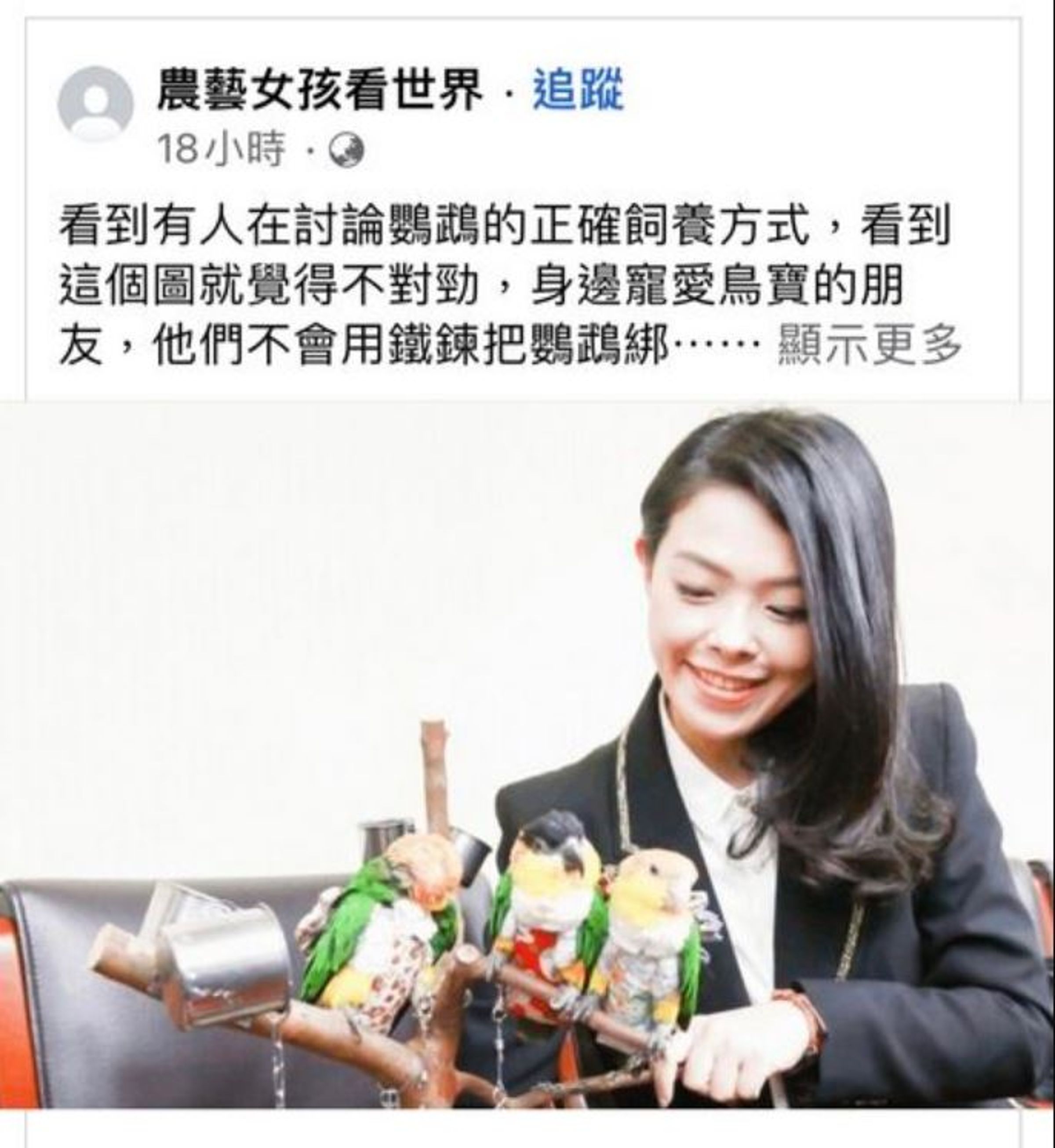 高虹安被側翼反專栽贓「虐鳥」。（翻攝PTT八卦板）