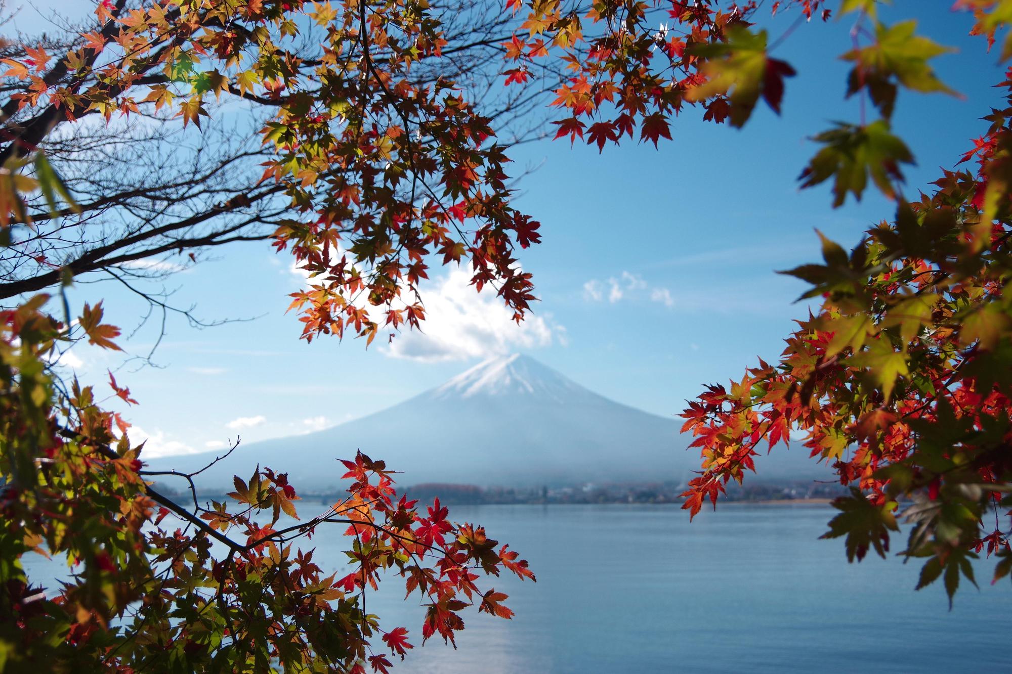 根據日媒報導，日本最快於10月鬆綁邊境管制。（示意圖，翻攝自Pexels）