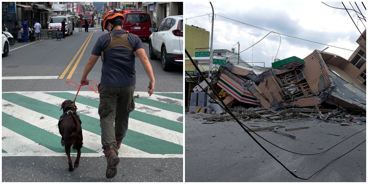 新北市消防局特搜隊領犬員羅浩芳恰好人在花蓮休假，聽聞樓房倒塌主動申請前往災區支援。（翻攝自新北消防發爾麵粉專、記者爆料網）