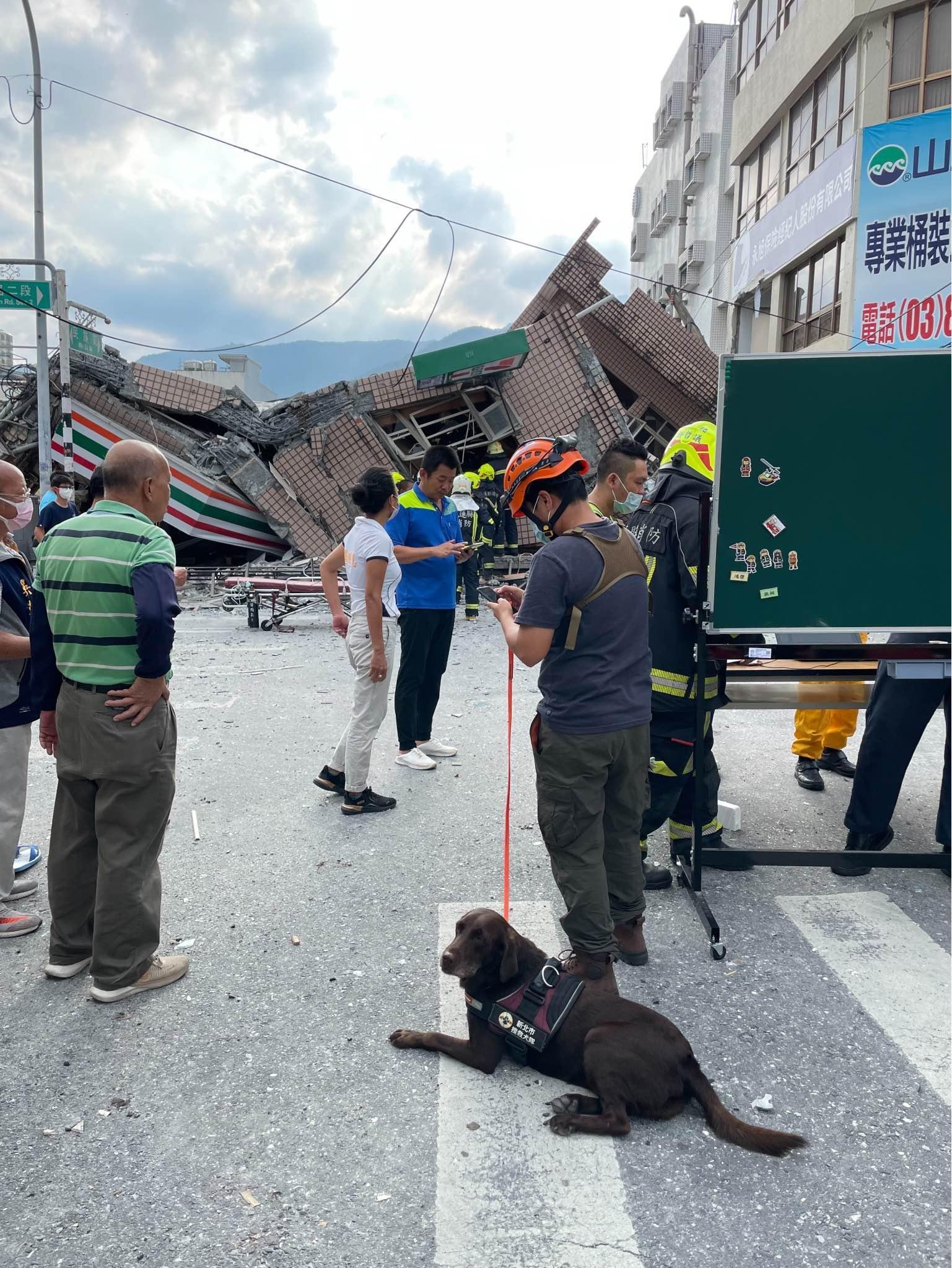 新北市消防局特搜隊領犬員羅浩芳主動帶領搜救全投入救災。(翻攝自新北消防發爾麵粉專)