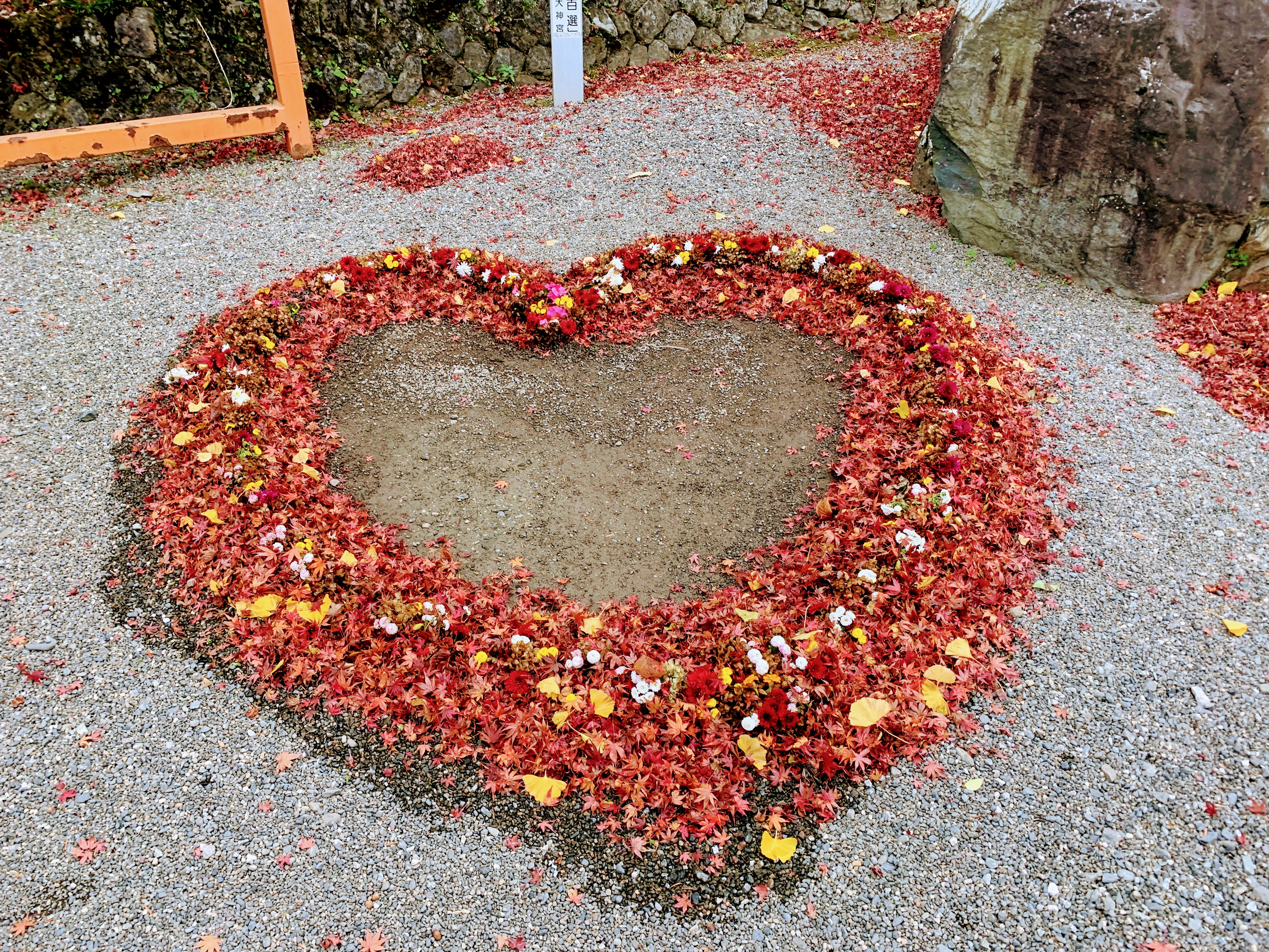 走逛出雲大神宮時別忘記低頭看看「紅葉驚喜」。（京都府觀光連盟提供）