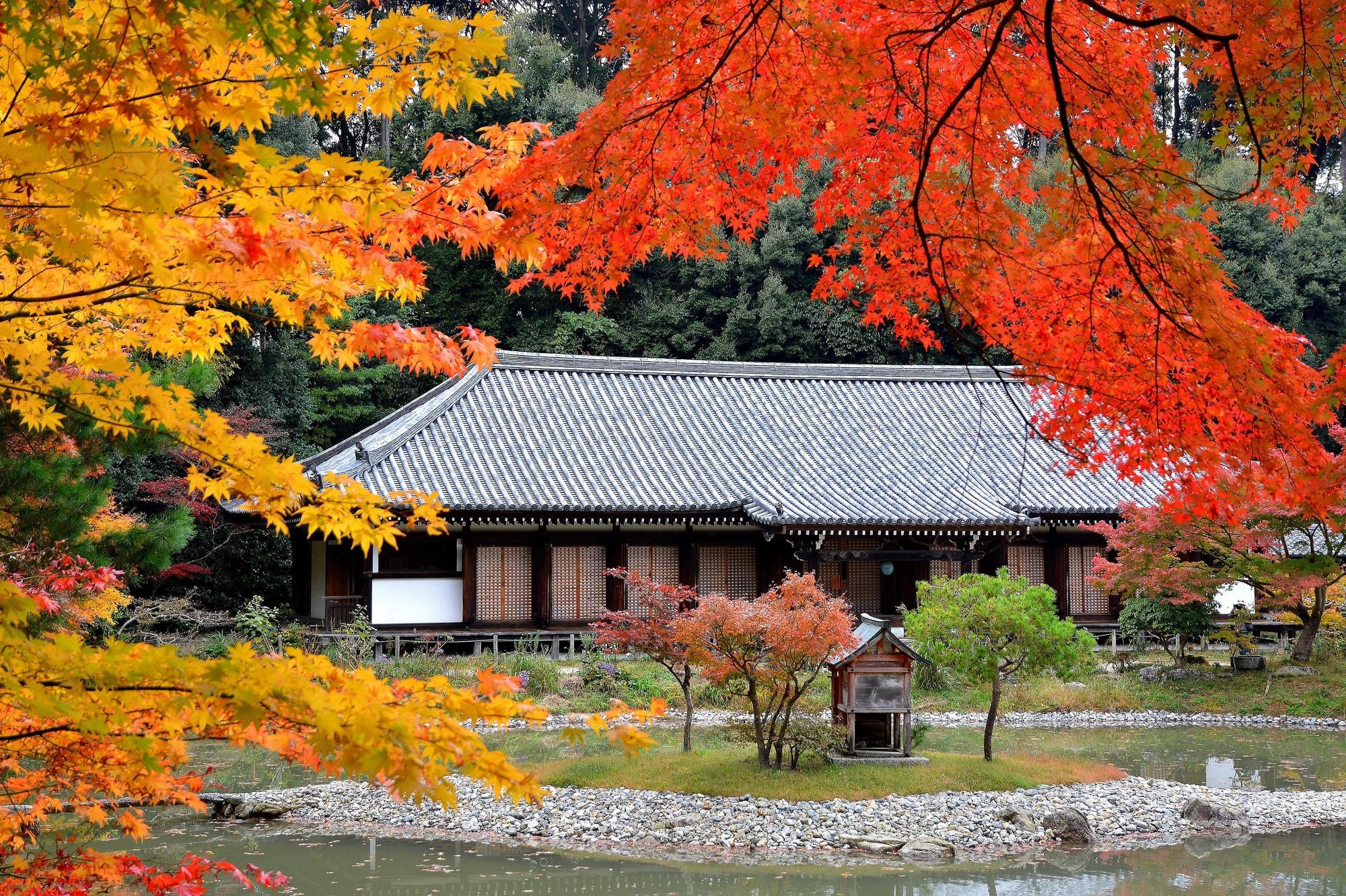 淨瑠璃寺本是淨土之地,秋天的時候更是美得令人屏息。(京都府觀光連盟提供)