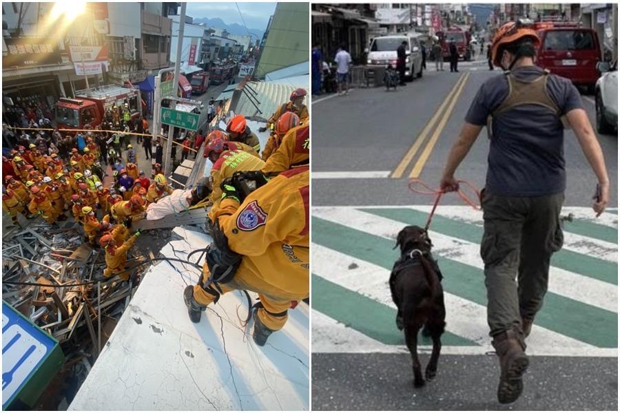 消防人員搶救民眾;搜救犬也參與救災。(消防署、讀者提供)