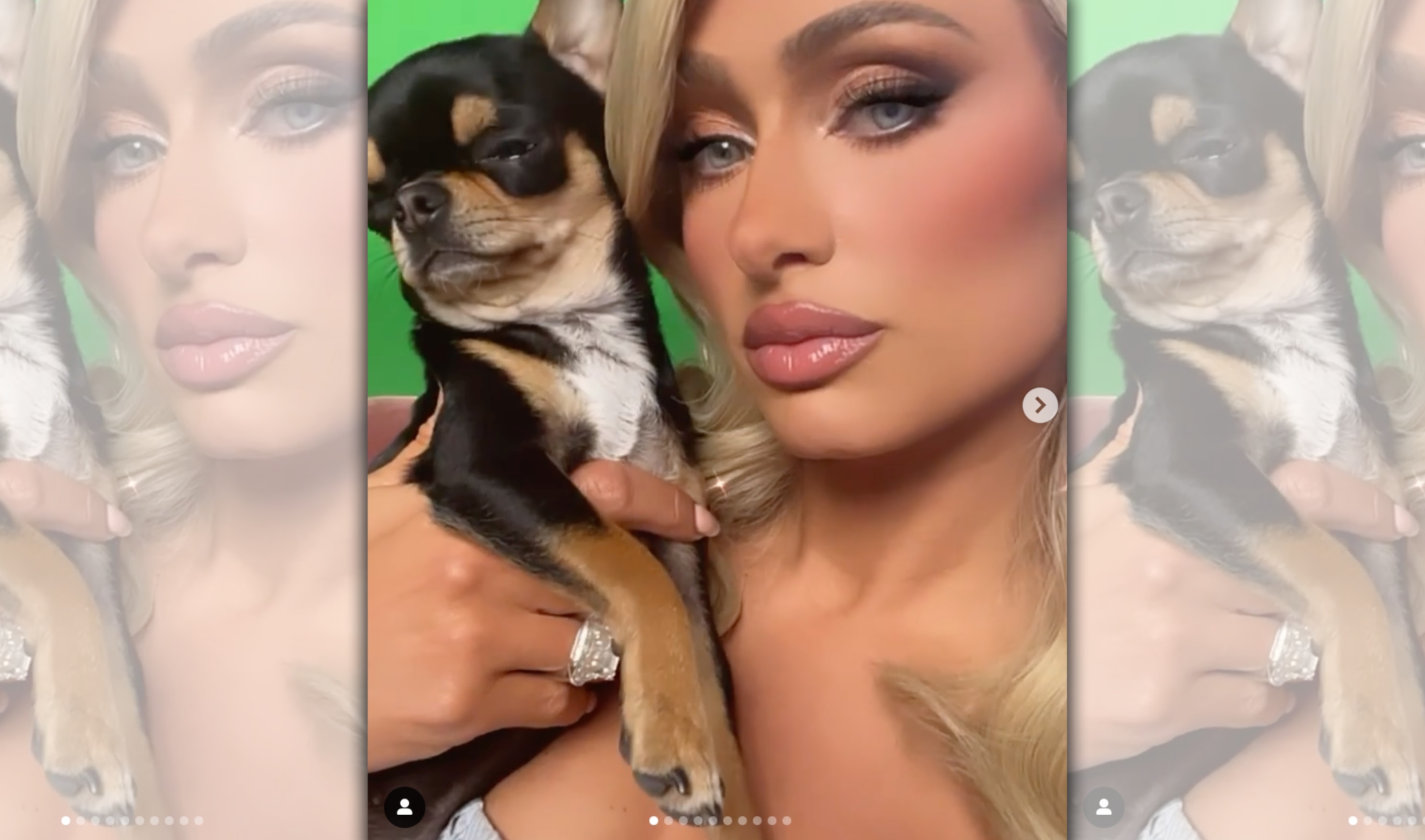 芭莉絲希爾頓（右）的愛犬「鑽石」（左）走丟了，大家有看到嗎？（翻攝自Paris Hilton官方Instagram）