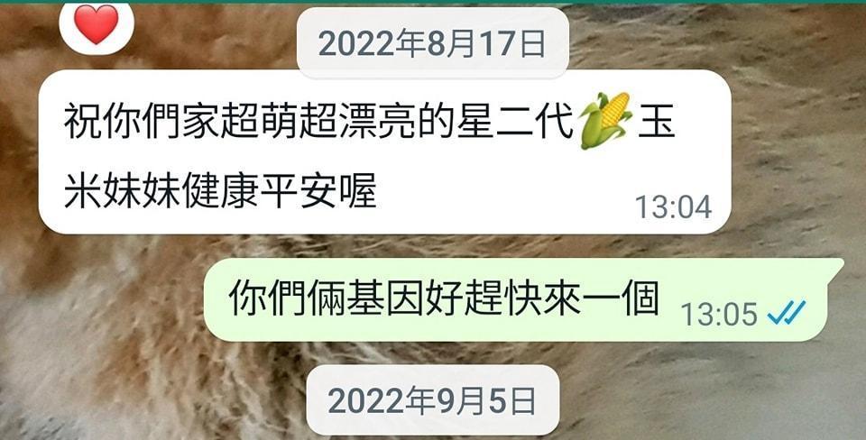 黃子佼上個月才與吳姍儒聯繫,翻到對話紀錄才恍然大悟懷孕一事有跡可循。(翻攝自黃子佼臉書)