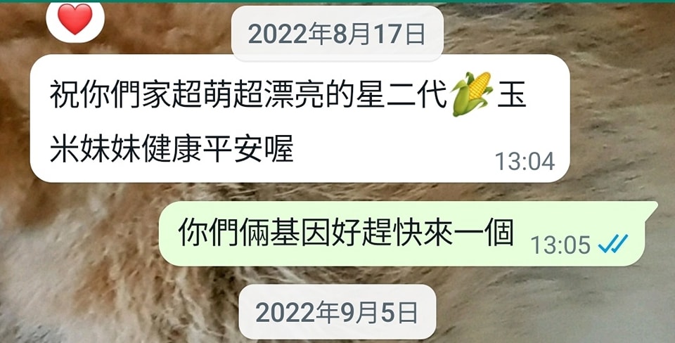 黃子佼上個月才與吳姍儒聯繫，翻到對話紀錄才恍然大悟懷孕一事有跡可循。（翻攝自黃子佼臉書）
