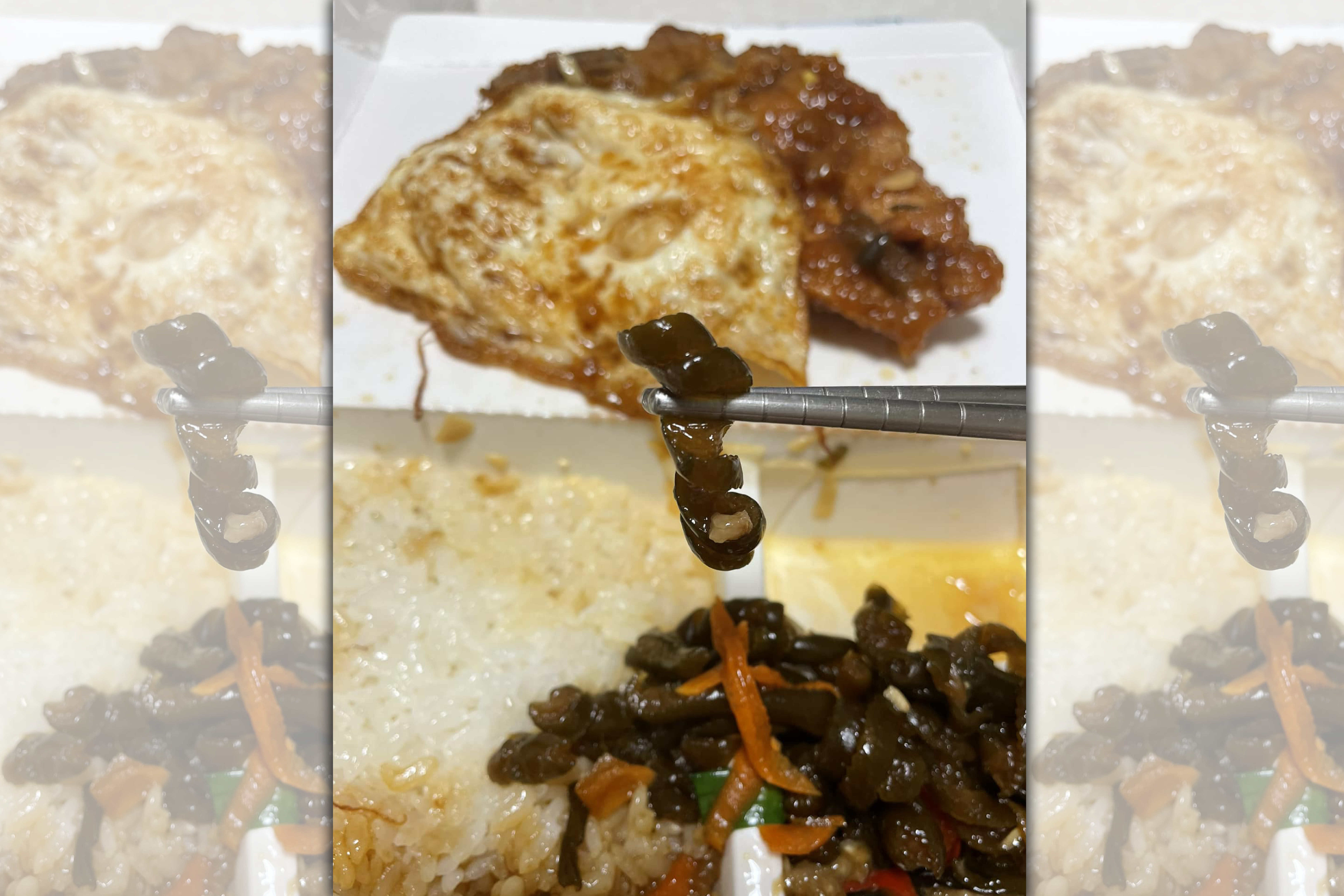 網友好奇形狀捲捲像「電話線」是什麼菜，內行人公布正解原來叫「海茸」。（翻攝自爆廢公社）