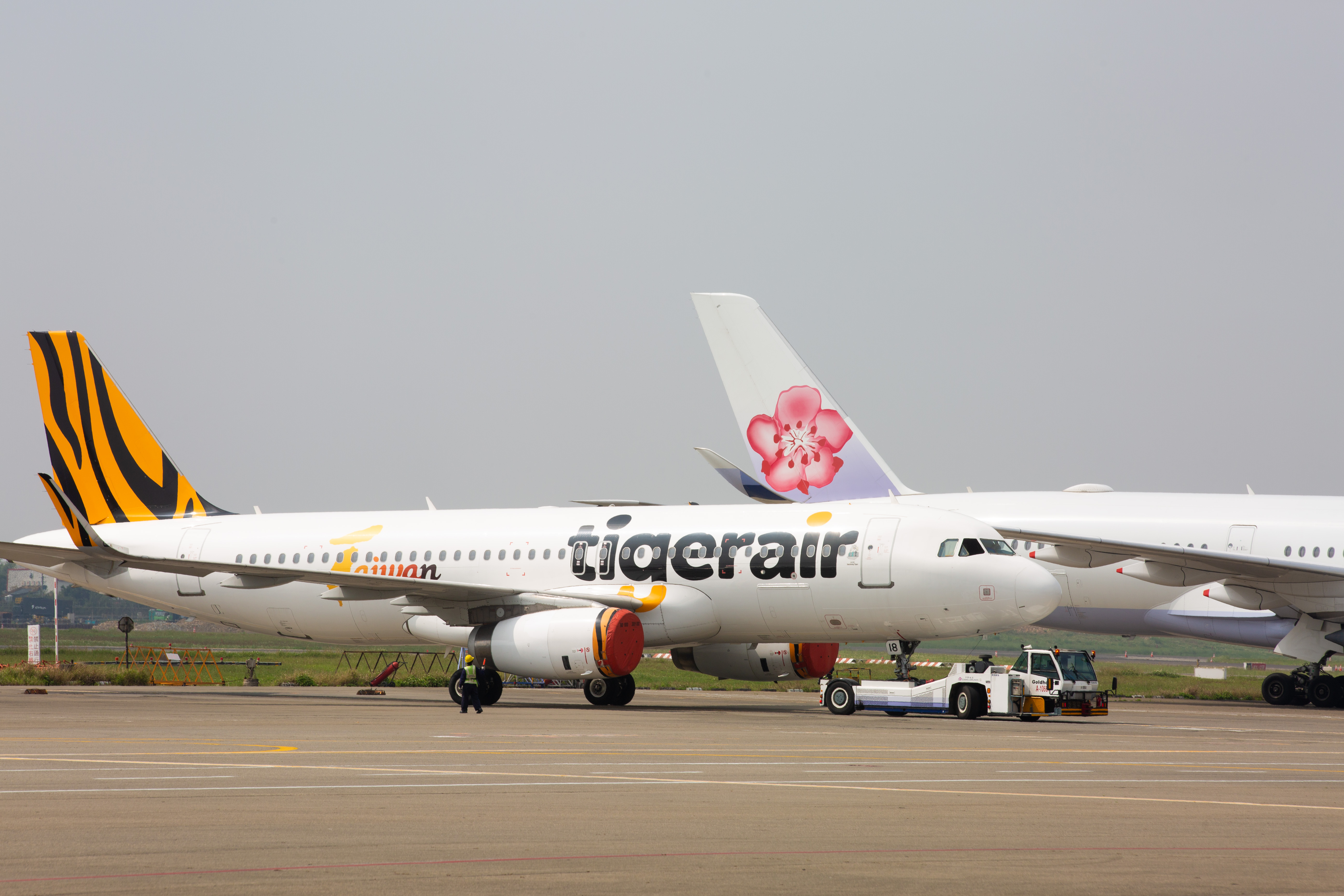 虎航慶8週年加上解封，日、韓、泰等航線10月起將增班，更推出「88元單程機票」15:00開搶。（本刊資料照）