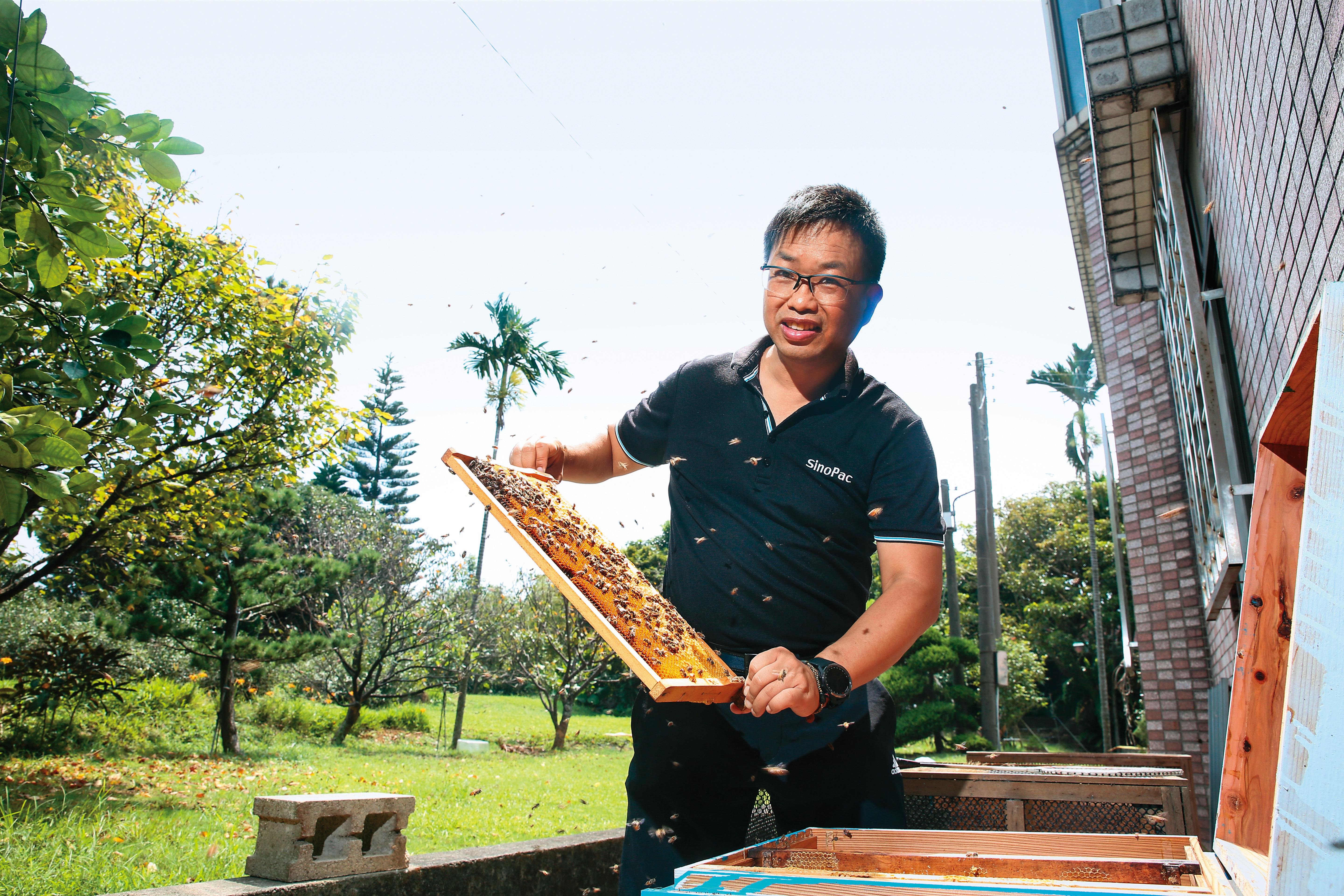 每到週末，黃烽旗都會回老家看顧蜂群，從蜜蜂採蜜上得到不少投資靈感。