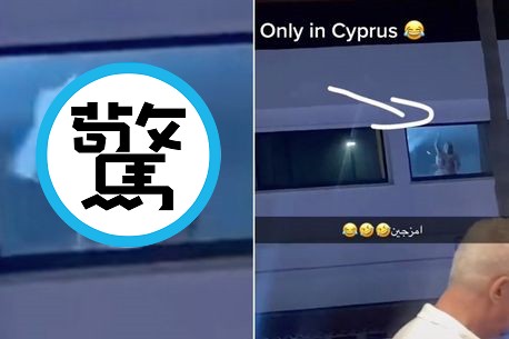 餐廳透窗驚見「群魔亂舞」，天啊！這活春宮太狂野了。（翻自TikTok）