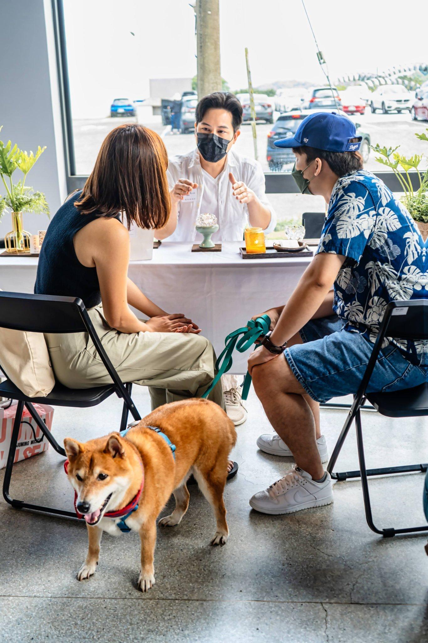 朱銘美術館寵物日有寵物溝通師提供諮詢服務。(朱銘美術館提供)