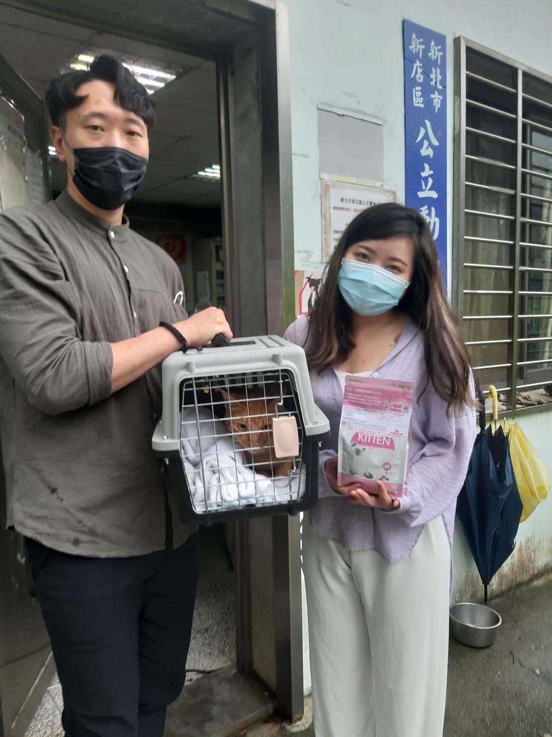 吳小姐在生日當天見到豆皮,互動10分鐘決定認養回家。(新北動保處提供)