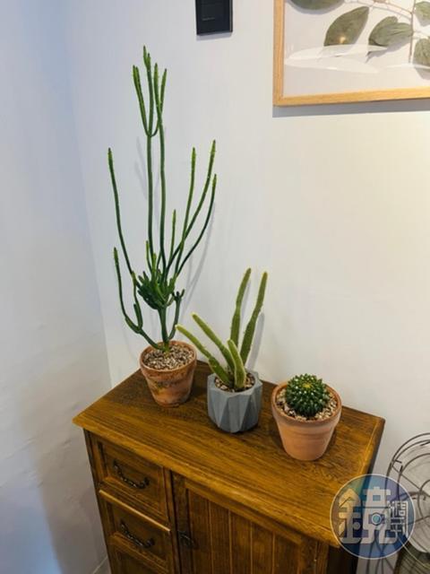 綠植與畫作是妝點空間的要角。