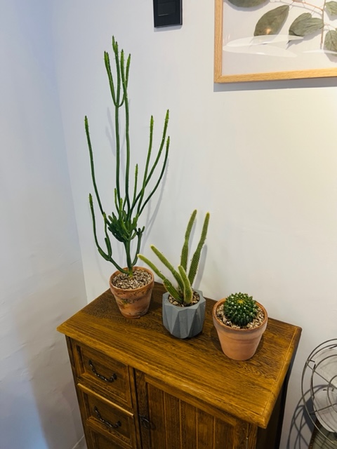 綠植與畫作是妝點空間的要角。